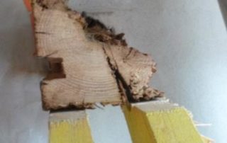 Confortations Charpentes Altérées Nevian - Rénovation Bâti ancien et Patrimoine dans l’Hérault 2RProcess à Béziers, Agde, Pézenas (34) - 7