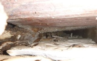 Poutre Altérée Sète - Rénovation Bâti ancien et Patrimoine dans l’Hérault 2RProcess à Béziers, Agde, Pézenas (34) - 10