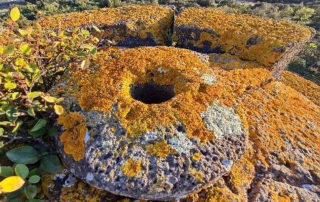 Tour Des Anglais Agde - Rénovation Bâti ancien et Patrimoine dans l’Hérault 2RProcess à Béziers, Agde, Pézenas (34) - 17